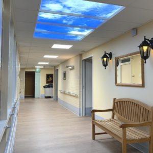 Vivium Biodynamic Photo LED