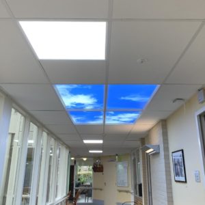 Vivium Biodynamic Photo LED