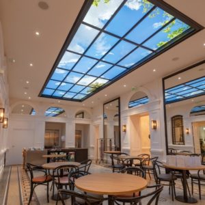 Vivium Biodynamic Photo LED