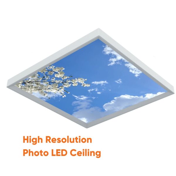 Hoge resolutie led paneel met foto afbeelding