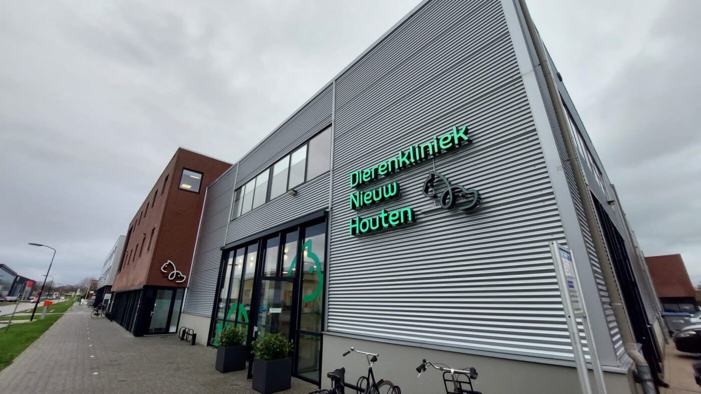 Dentled LED-panelen zijn geïntegreerd in elk aspect van de kliniek-3