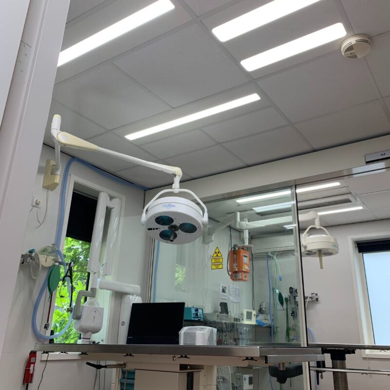 Verlichting_behandelkamer_dierenkliniek-1