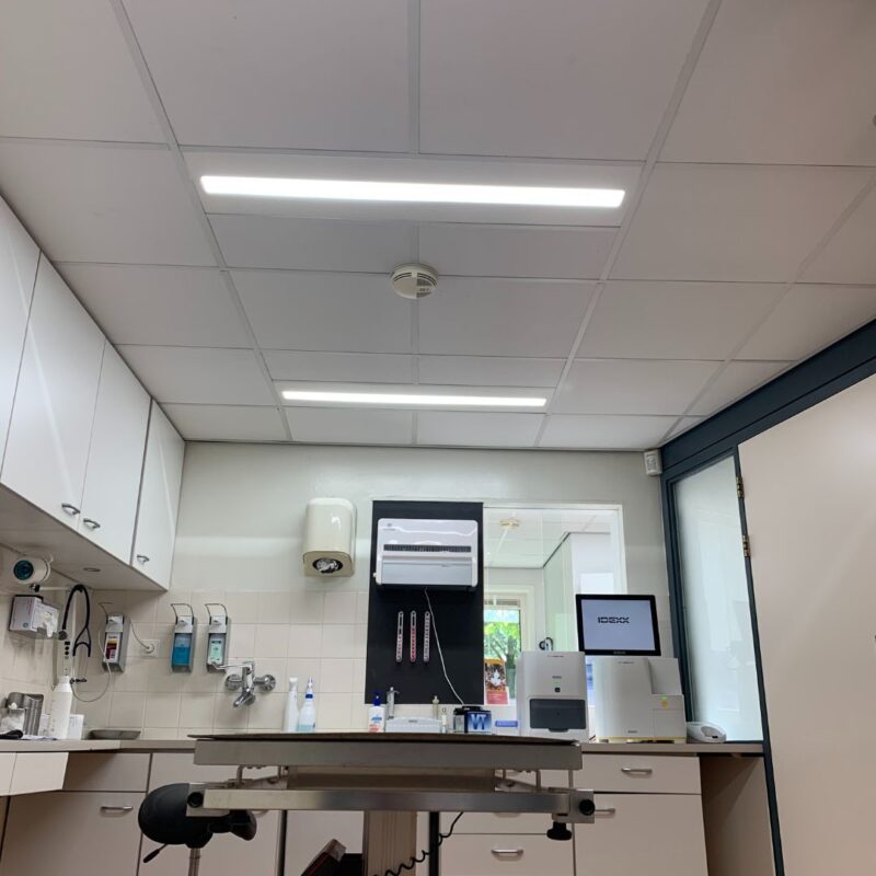 Verlichting_behandelkamer_dierenkliniek-2