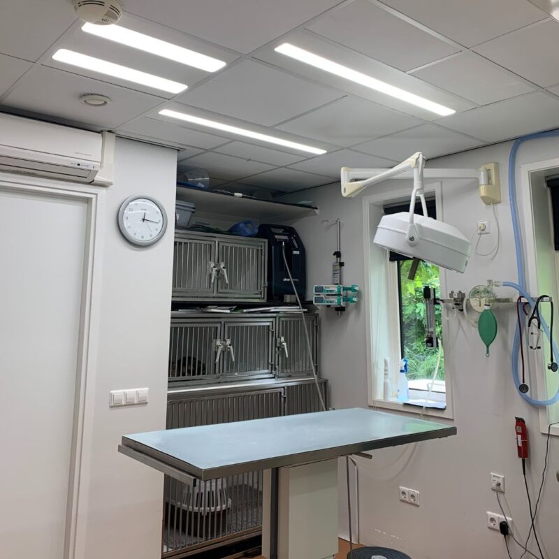Volspectrum_daglicht_Dierenkliniekverlichting-2