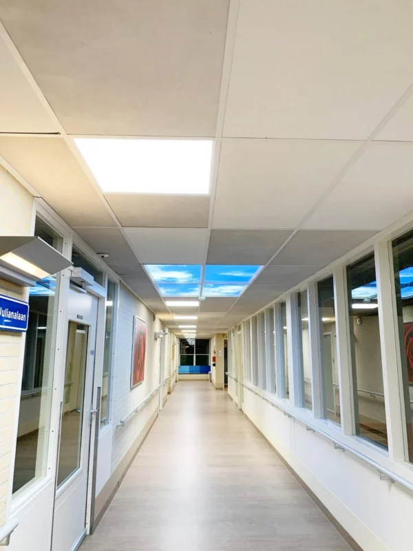 Natuurlijke zorgomgeving met Dentled DL60 Full Spectrum LED-panelen CRI98+ en rustgevende plafondvisuals.